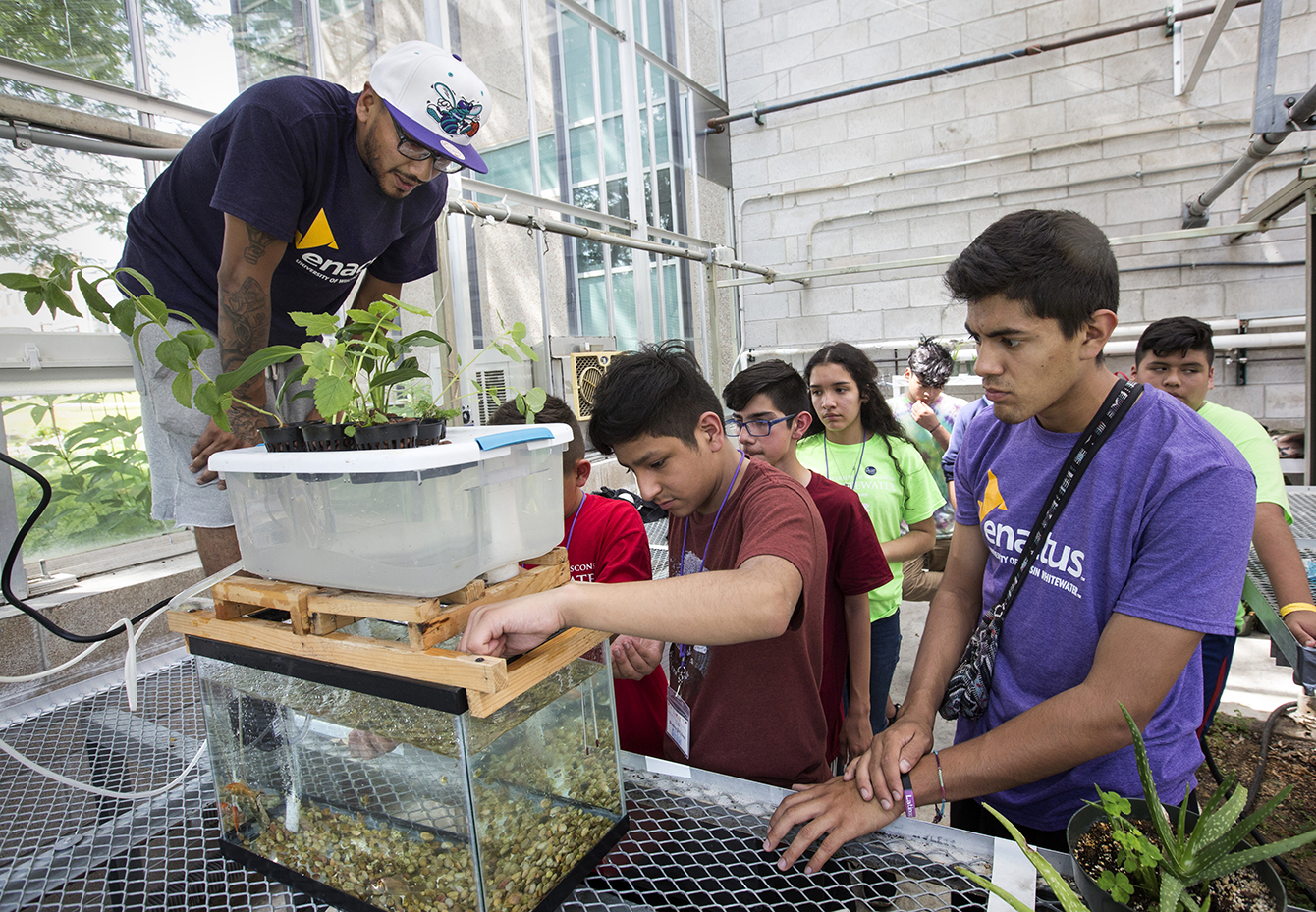 Growing food using hydroponics at the Upham Hall greenhouse