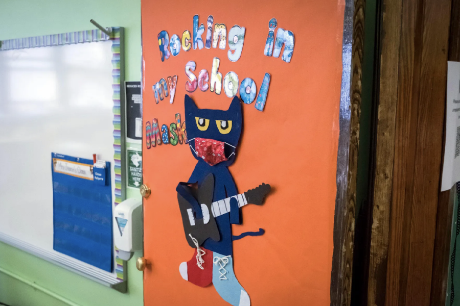 A picture of Pete the Cat wearing a mask.