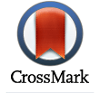 CrossMark Logo