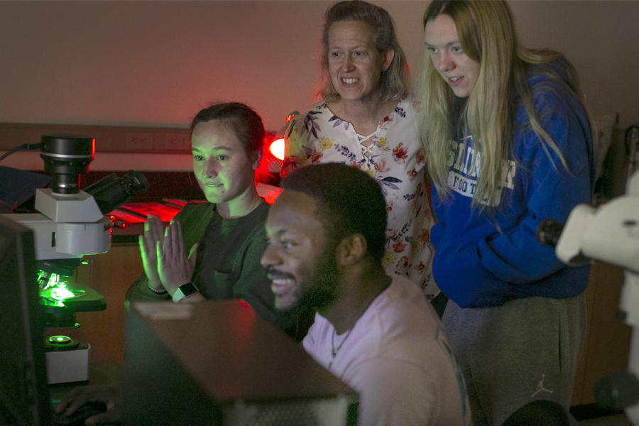 Students and a faculty member use florescent microscopes.
