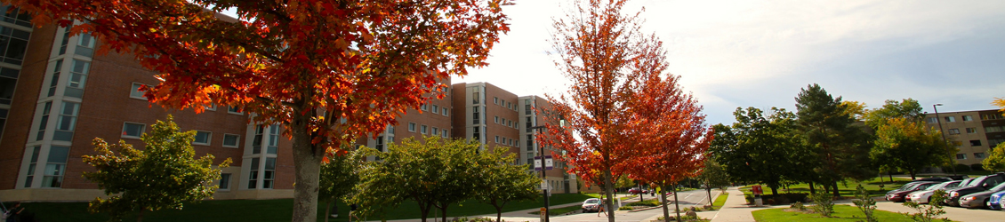 View of part of campus down Starin Road