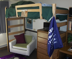 Bunked bed in dorm room