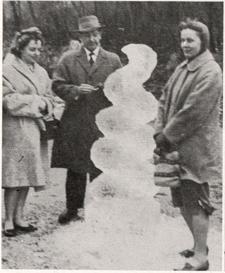 Ice Sculpture Ice and Fire