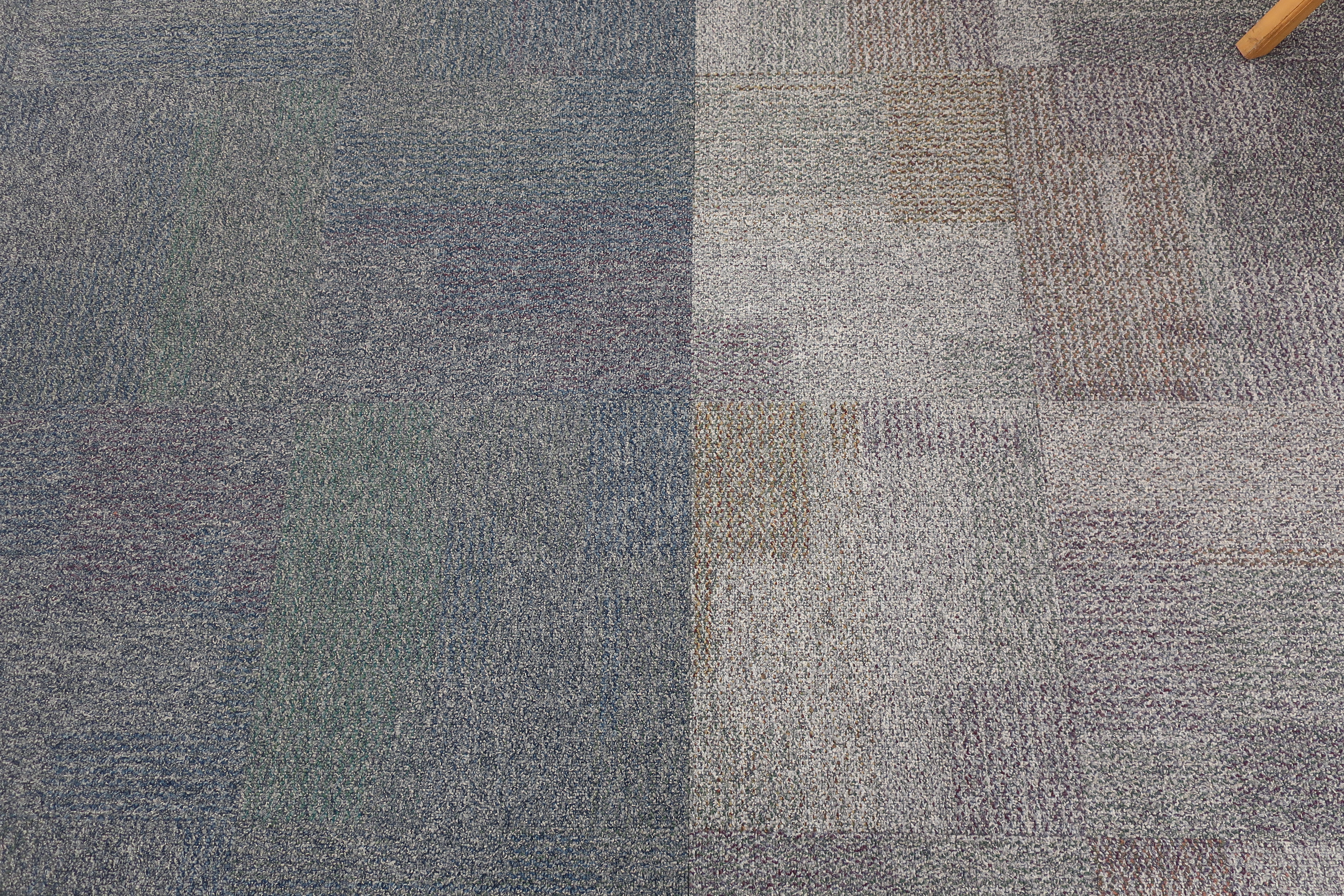 Carpet Dynamics