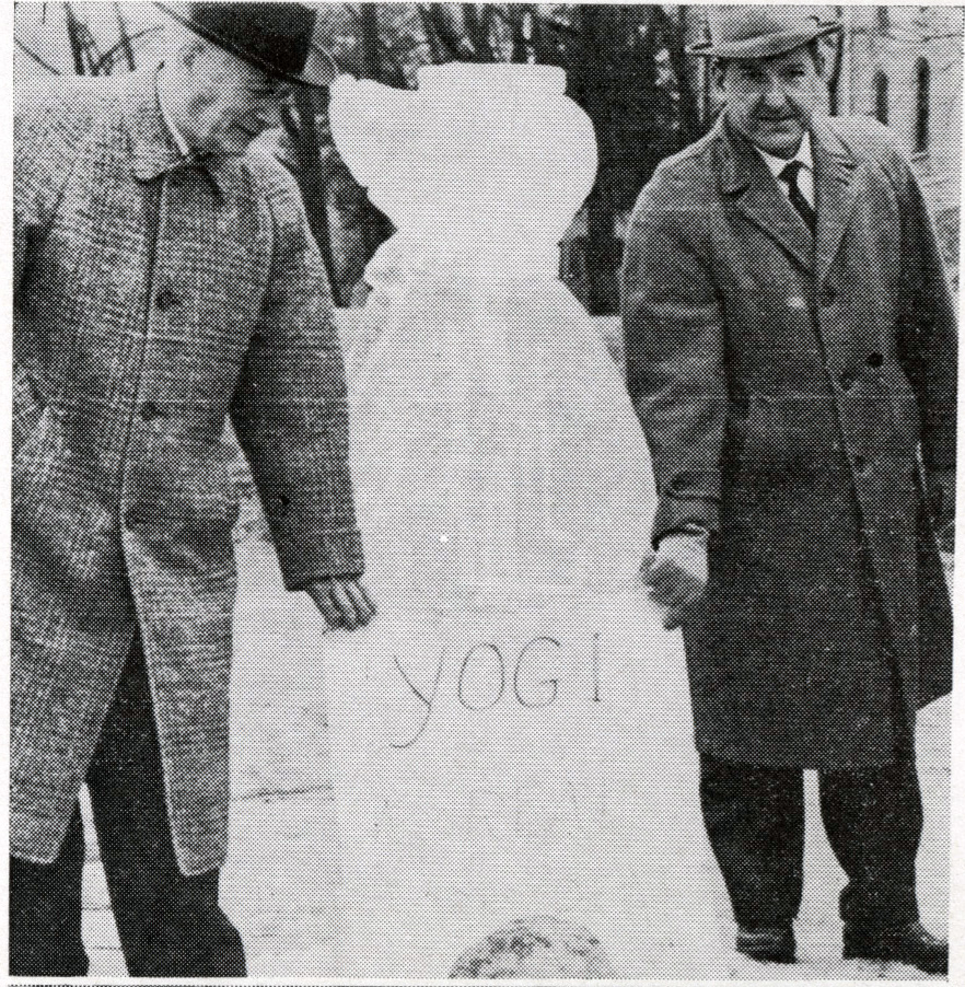 Ice Sculpture Yogi Bear