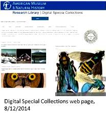 screen shot of web page for Digital Special Collections, American Museum of Natural History
