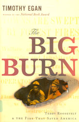 The Big Burn