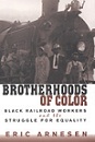 cover of Brotherhoods of Color