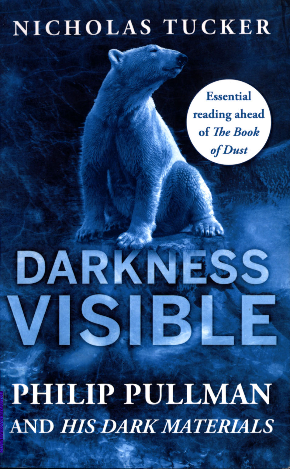 Darkness Visible book cover