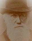 Darwin image