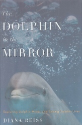 The Dolphin in the Mirror