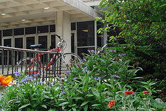 bicycle by library