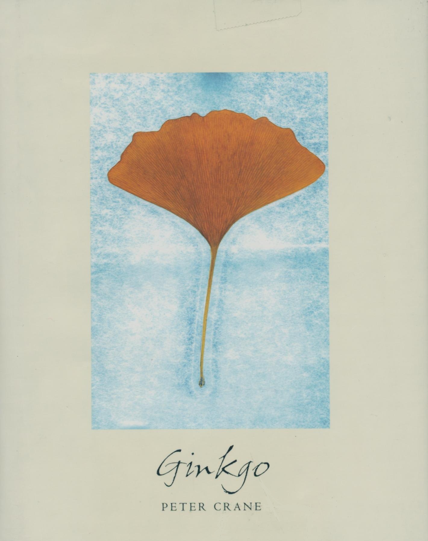 Ginkgo