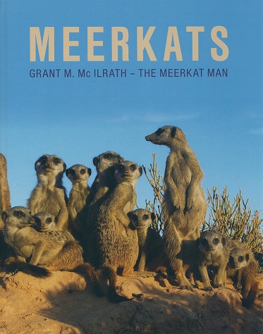 Meerkats