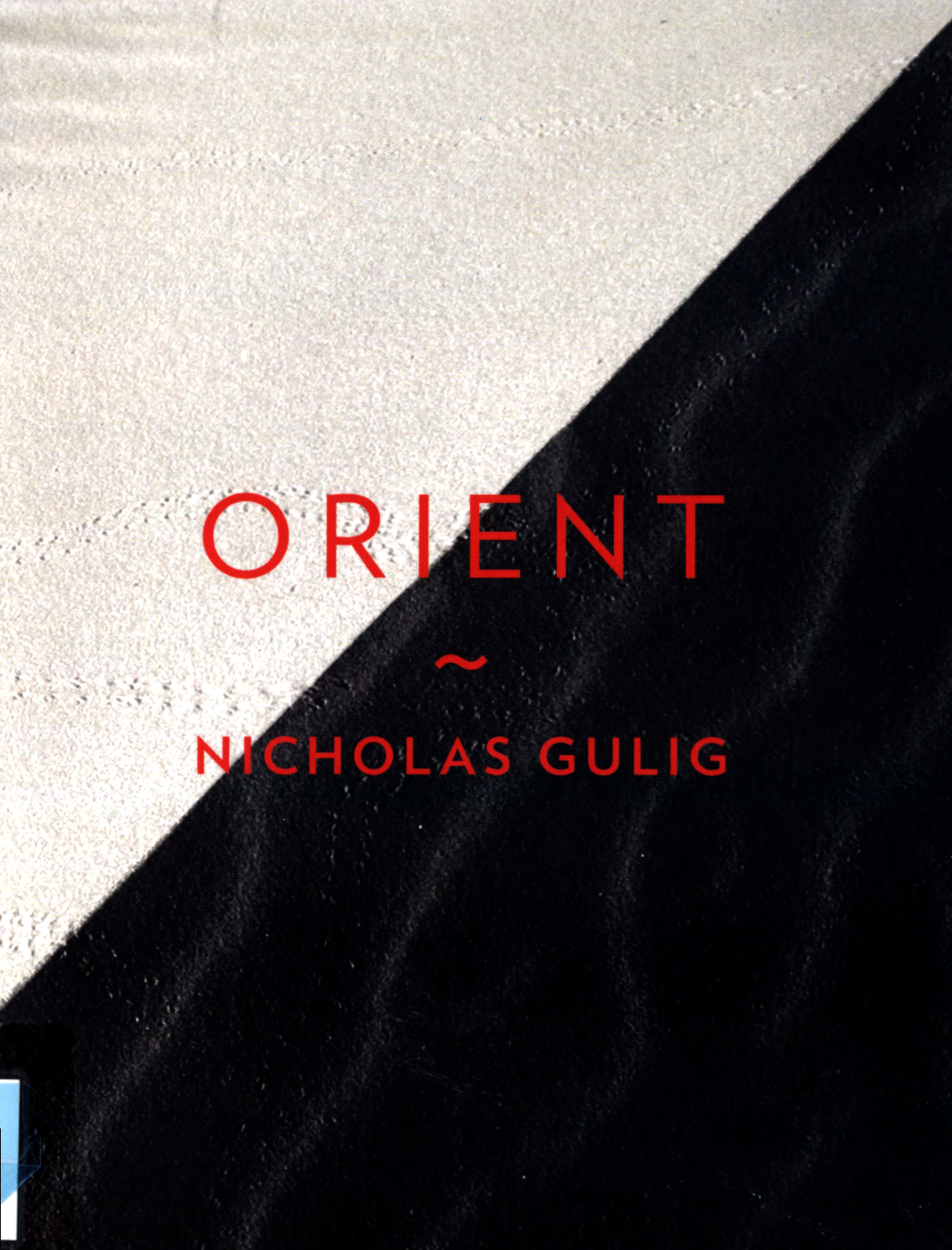 Orient book cover