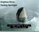 Orphan Orca movie screenshot