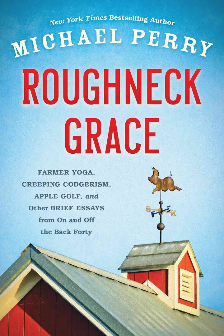 Roughneck Grace book cover