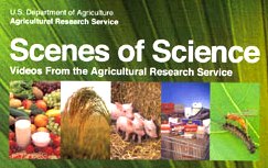 Scenes of Science cover