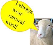 image of sheep saying I always wear natural wool