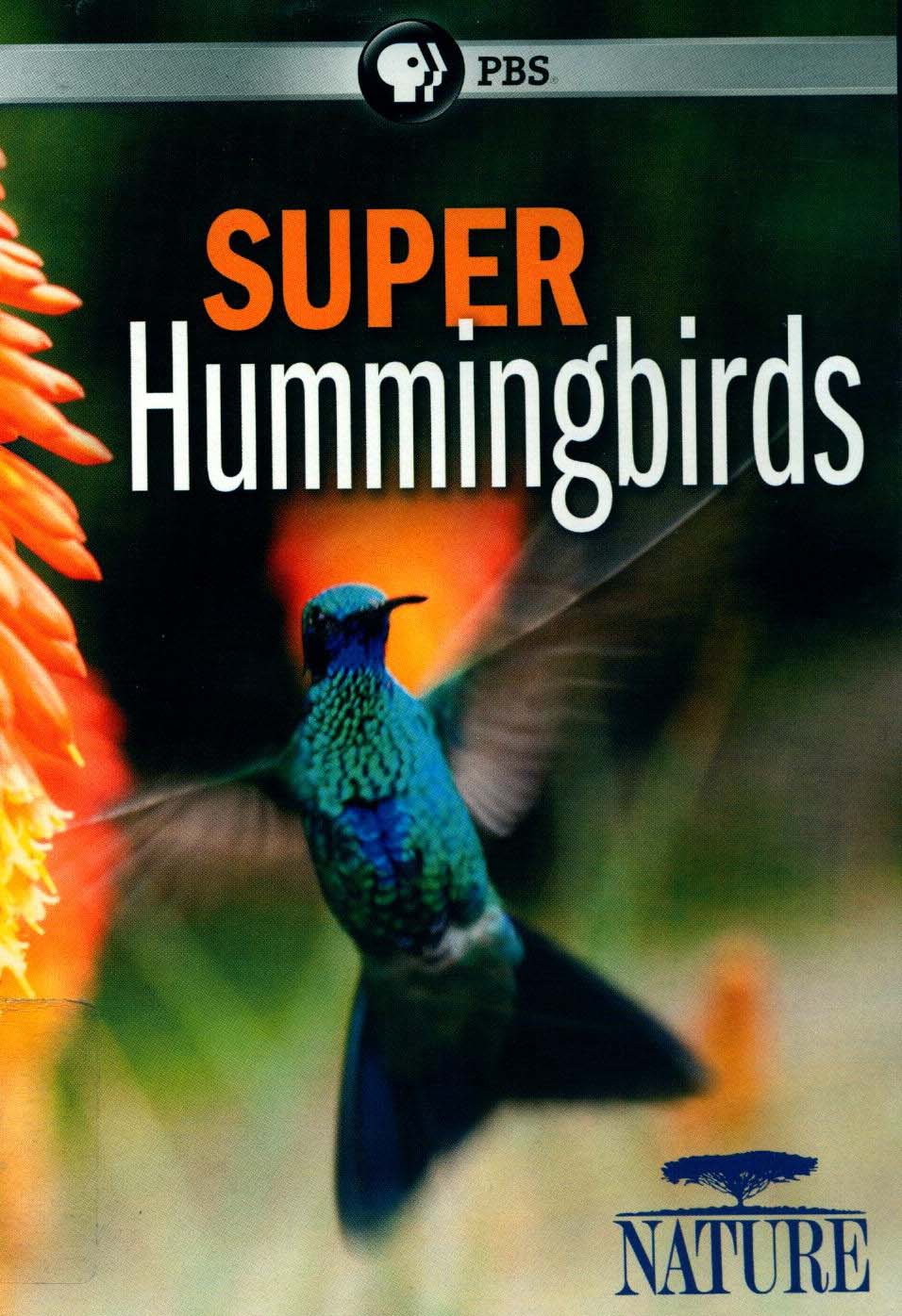 Super Hummingbirds