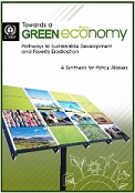 cover of UNEP report Towards a green economy