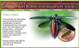 screen shot of web site Wisconsin's emerald ash borer information source