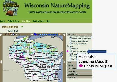 Wisconsin NatureMapping screen shot