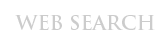Web Search