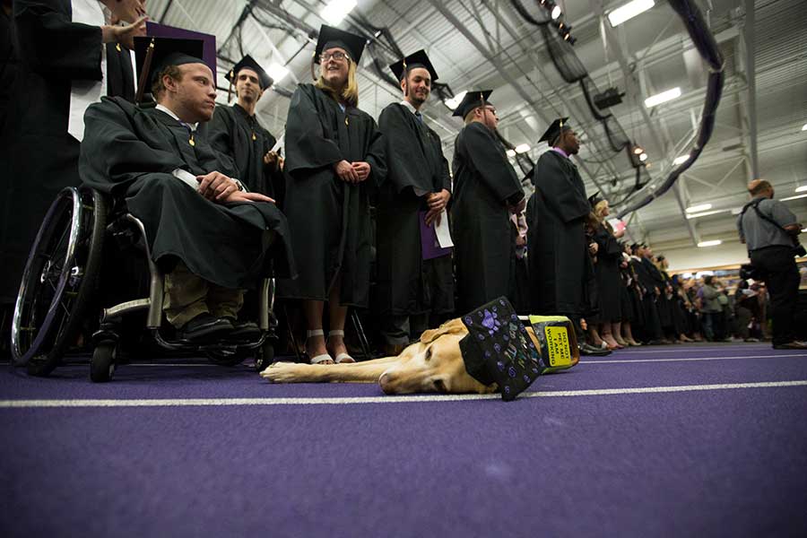 A service dog lays on the floor of the Williams Center during a commencement ceremony.
