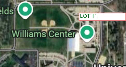 Lot 11