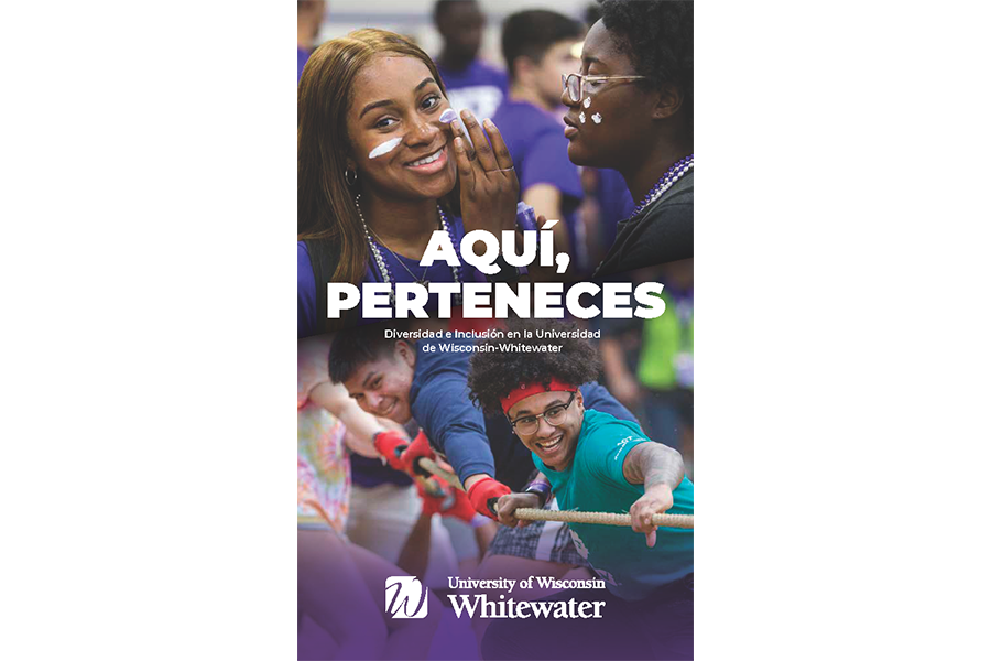 Diversidad e Inclusión