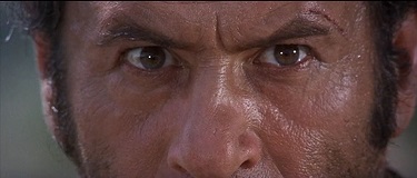 STILL 5