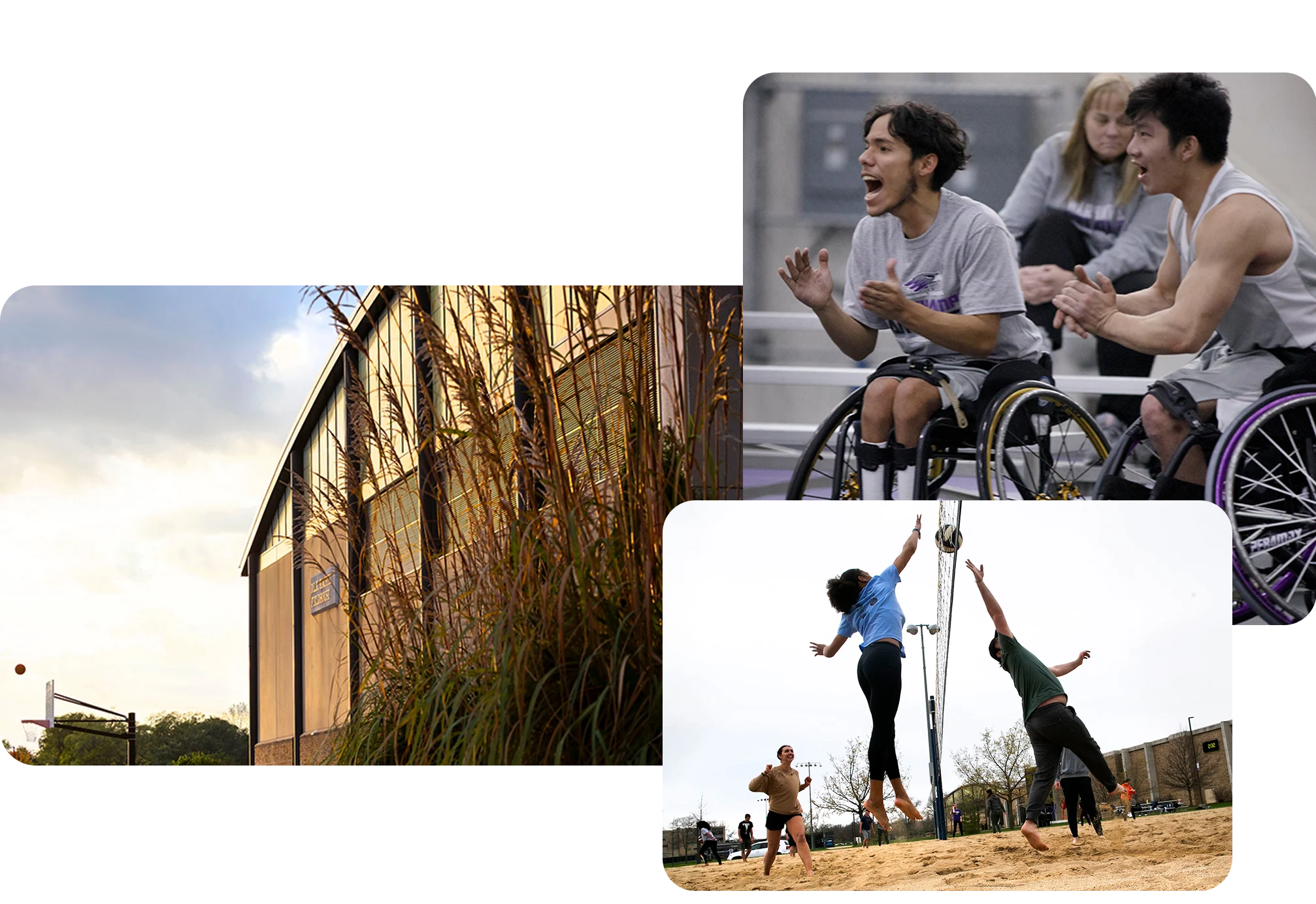 A collage of the Williams Center, two students playing sand volleyball and two wheelchair basketball players.