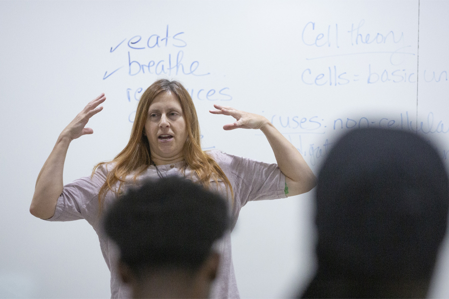 A faculty member teaches at the front of a class.