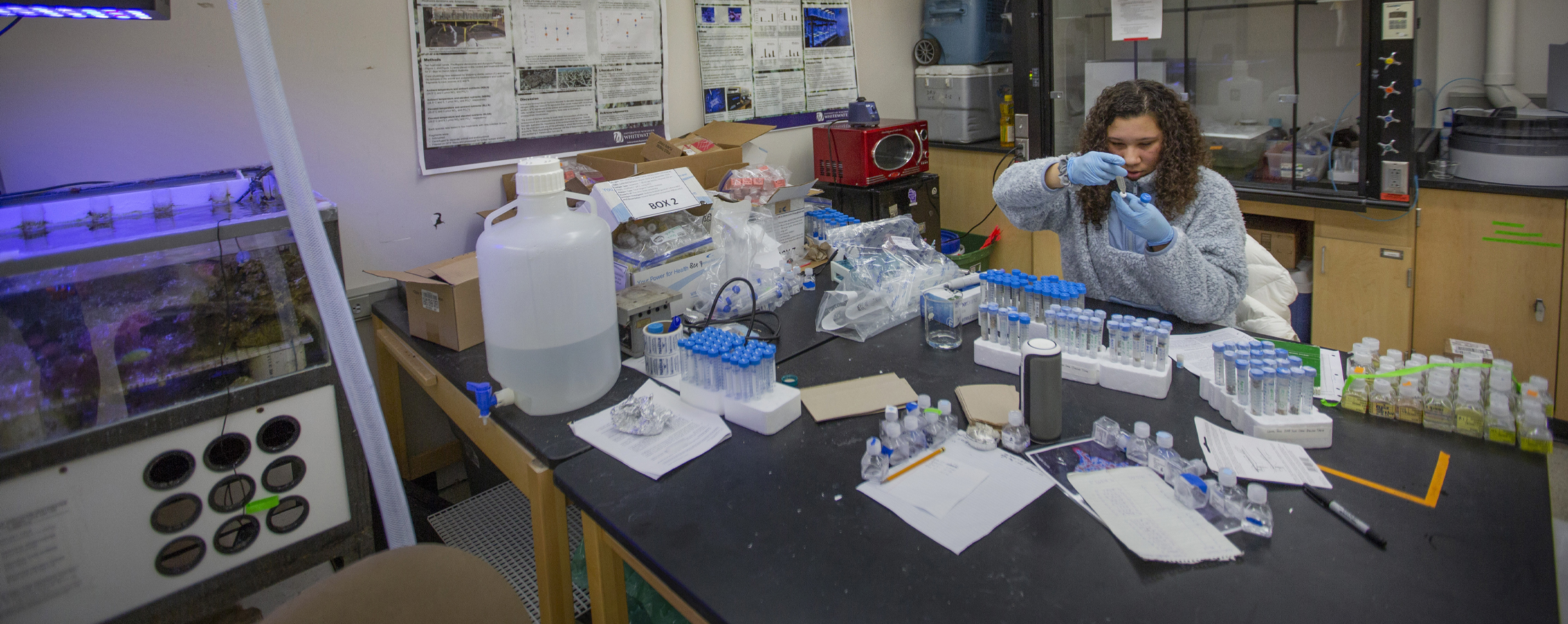 A student tests water samples in a lab.