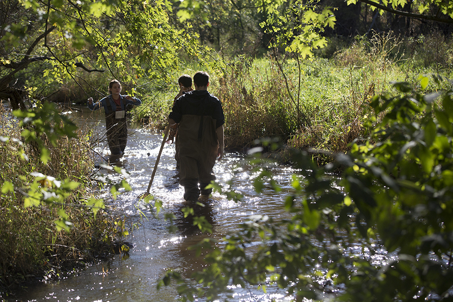 Students walk through a river with tall grasses and trees on both sides of the water.