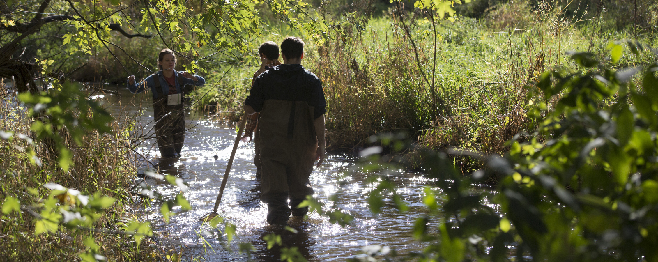 Three students walk through a shallow river.