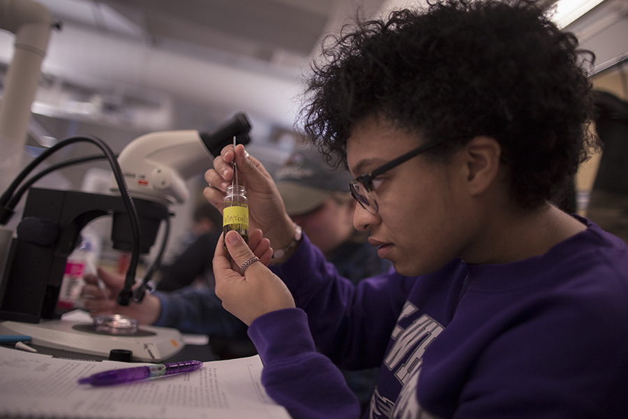 A student inspects a specimen in a lab.