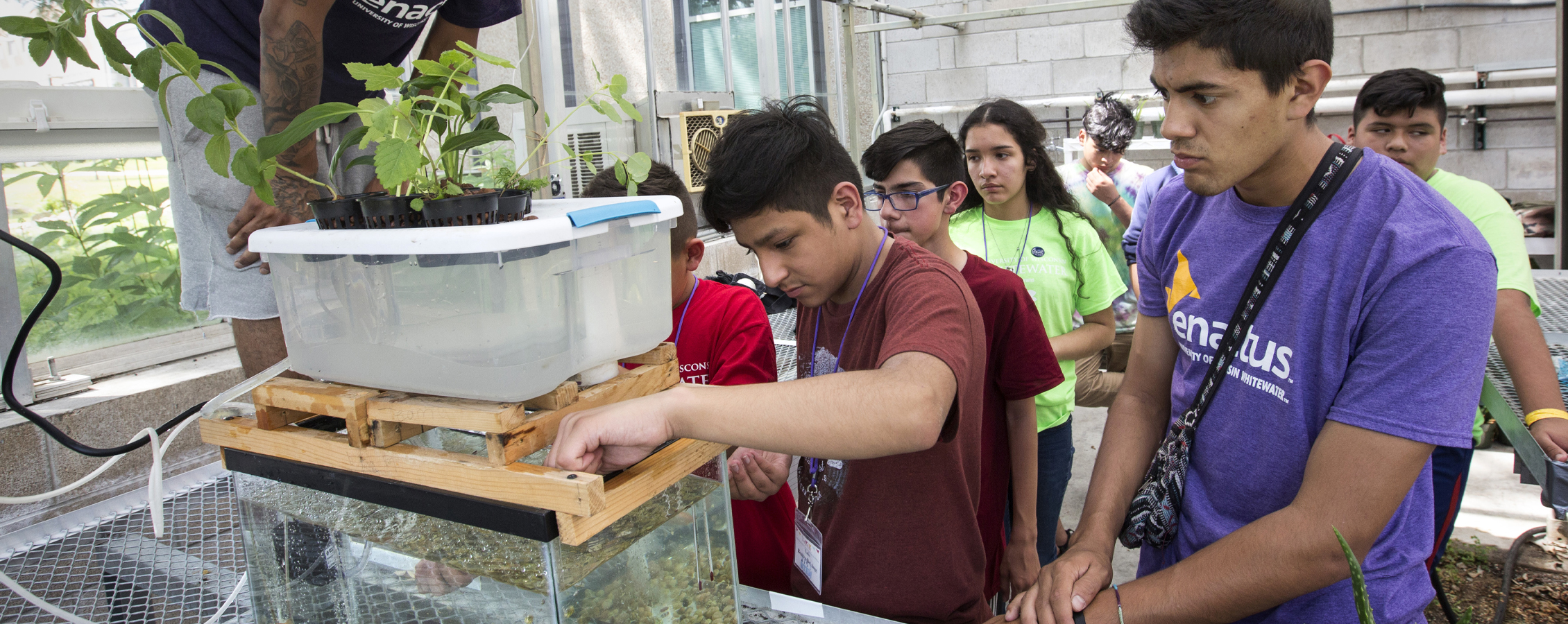 Students look at a system that is growing food using hydroponics.