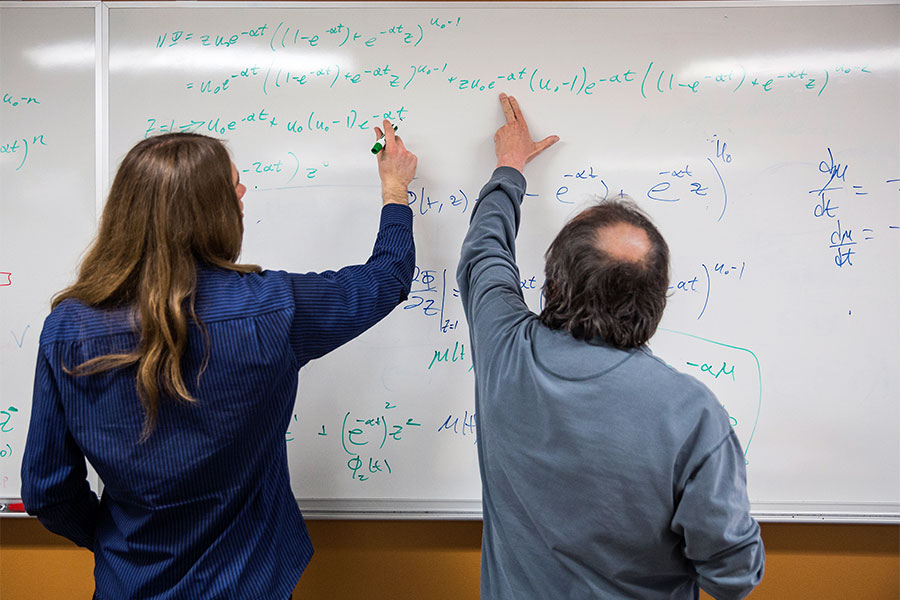 UW-Whitewater instructor and student completing mathematics lessons