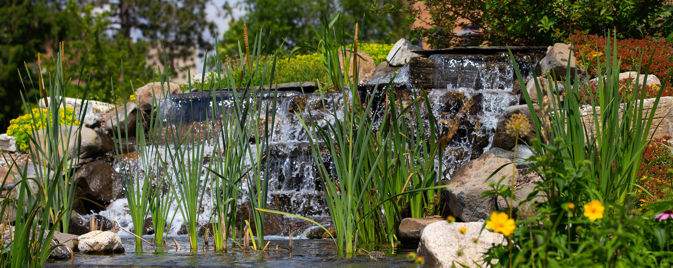 UW-Whitewater waterfall on campus