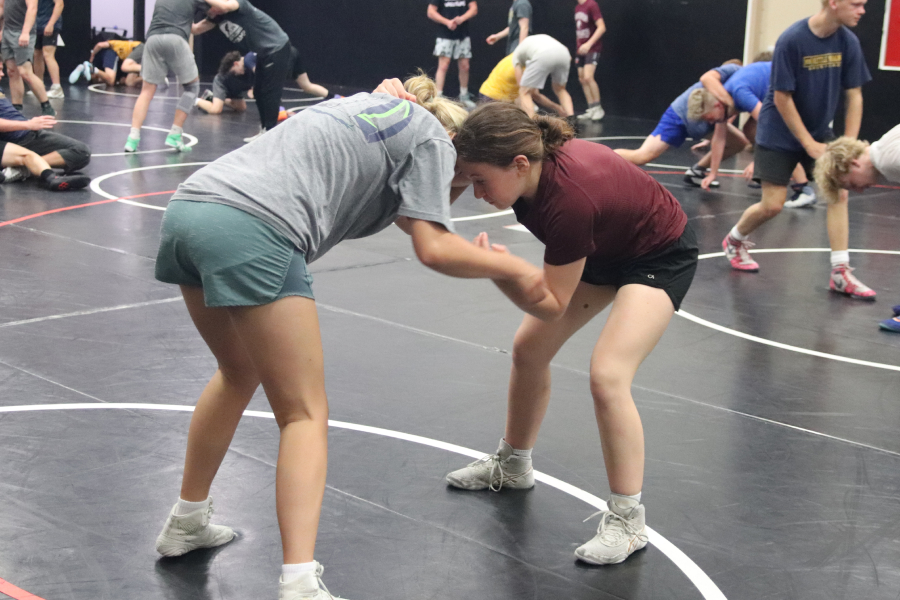 Students wrestling in a gym on a mat