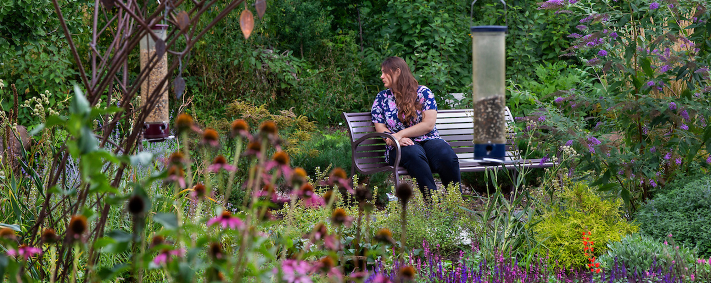 Garden and Landscape