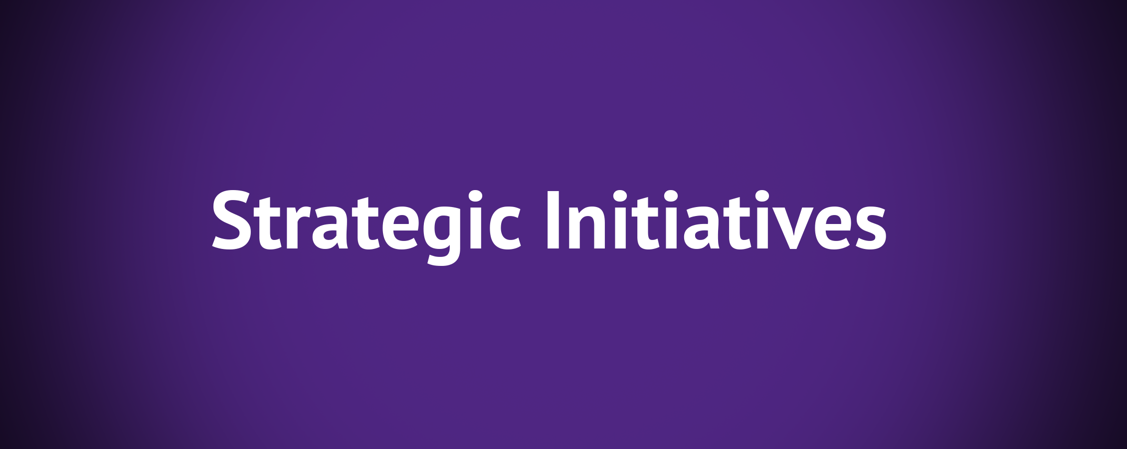 Strategic Initiatives