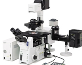 Olympus IX2-UCB Spinning Disc Confocal Microscope