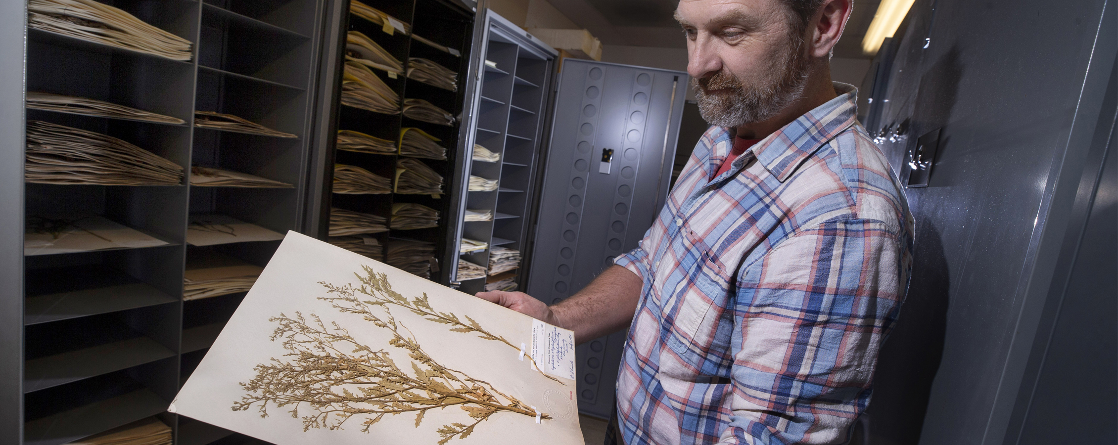 Biology instructor holding dried plant specimen.