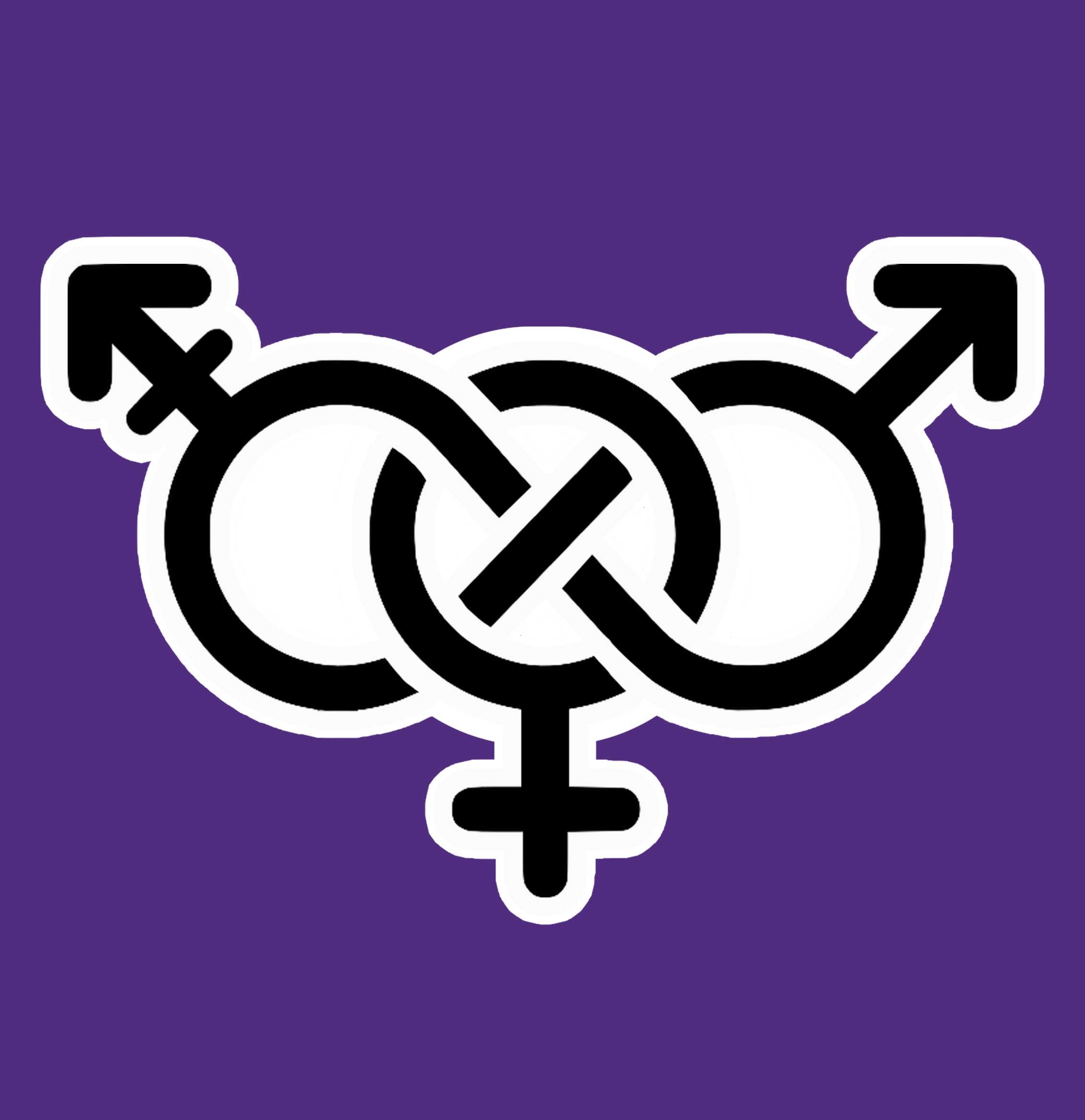 women's and gender studies