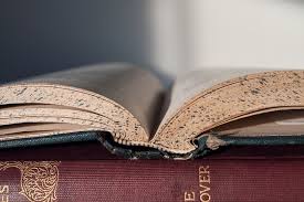 Lit. Books