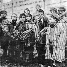 What Caused the Holocaust?