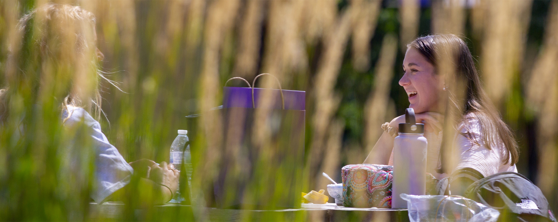 Two students are seen through tall grass talking and laughing together.